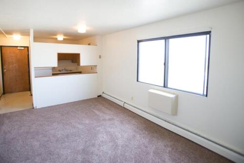An empty room with carpet and a window.