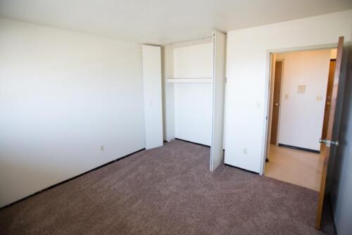 An empty room with a closet and carpet.