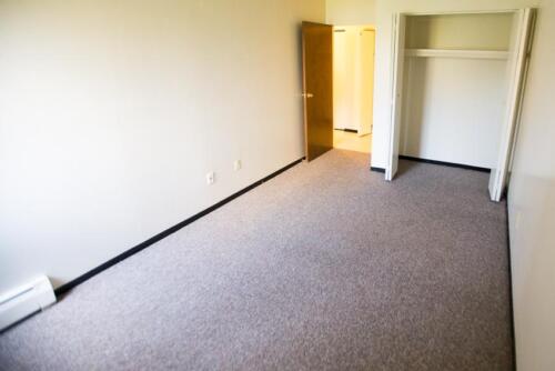 An empty room with carpet and a closet.